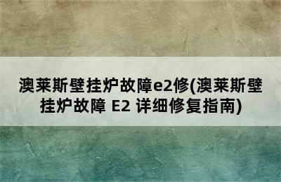 澳莱斯壁挂炉故障e2修(澳莱斯壁挂炉故障 E2 详细修复指南)